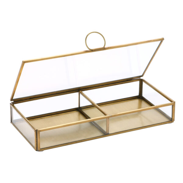 Glass Box with 2 Compartments